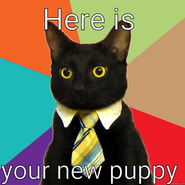 HERE IS  YOUR NEW PUPPY Business Cat