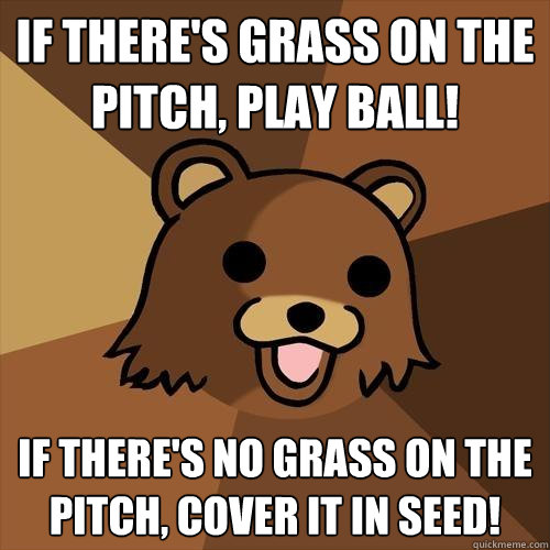 If there's grass on the pitch, play ball! If there's no grass on the pitch, cover it in seed!  Pedobear