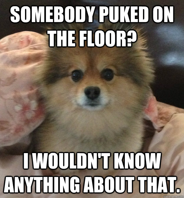 somebody puked on the floor? I wouldn't know anything about that.  