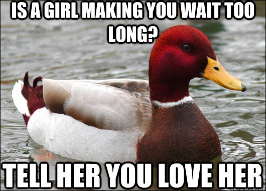 is a girl making you wait too long? tell her you love her  Malicious Advice Mallard