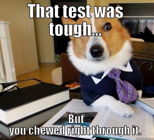 THAT TEST WAS TOUGH... BUT YOU CHEWED RIGHT THROUGH IT.  Lawyer Dog