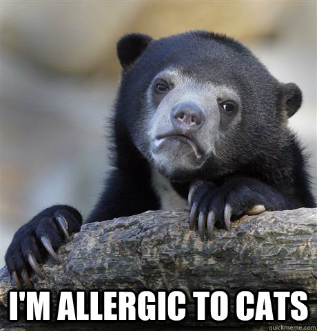  I'm allergic to cats -  I'm allergic to cats  Confession Bear