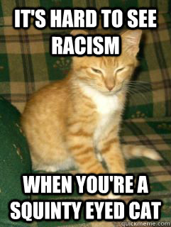 It's hard to see racism when you're a squinty eyed cat - It's hard to see racism when you're a squinty eyed cat  Misc