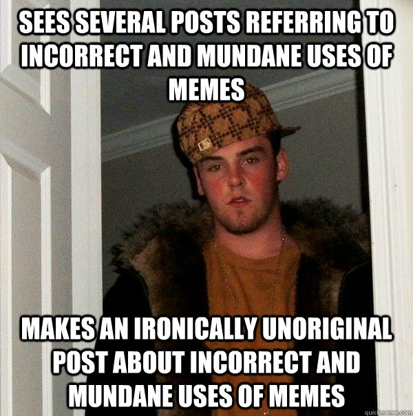 Sees several posts referring to incorrect and mundane uses of memes Makes an ironically unoriginal post about incorrect and mundane uses of memes  Scumbag Steve