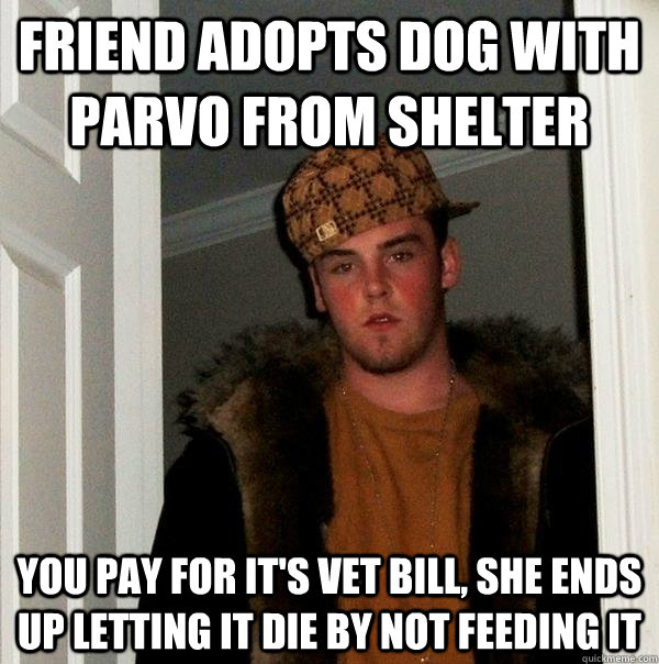 Friend adopts dog with parvo from shelter You pay for it's vet bill, she ends up letting it die by not feeding it - Friend adopts dog with parvo from shelter You pay for it's vet bill, she ends up letting it die by not feeding it  Scumbag Steve