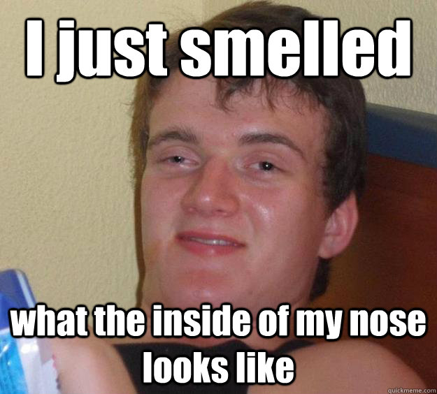 I just smelled what the inside of my nose looks like - I just smelled what the inside of my nose looks like  10 Guy