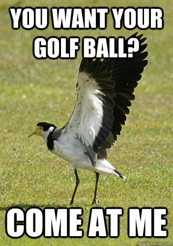 You want your golf ball? come at me - You want your golf ball? come at me  Misc