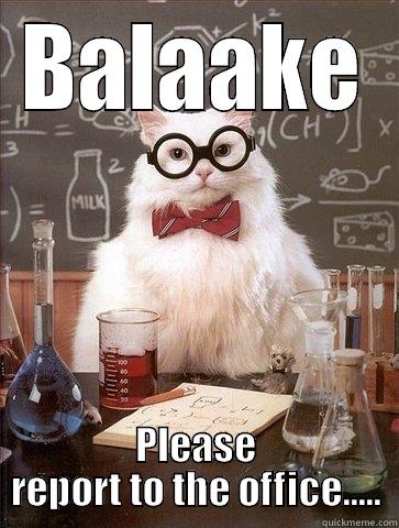 Triston's new name - BALAAKE PLEASE REPORT TO THE OFFICE..... Chemistry Cat