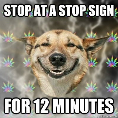 Stop at a Stop Sign For 12 minutes  Stoner Dog