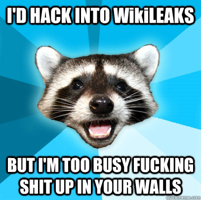 I'D HACK INTO WikiLEAKS BUT I'M TOO BUSY FUCKING SHIT UP IN YOUR WALLS  Lame Pun Coon