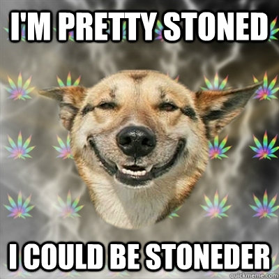 I'm pretty stoned I could be stoneder  Stoner Dog