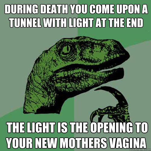 during death you come upon a tunnel with light at the end  the light is the opening to your new mothers vagina  Philosoraptor