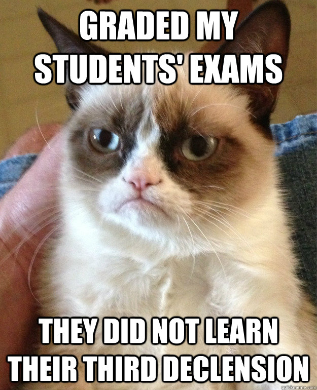 Graded my students' exams they did not learn their third declension  Grumpy Cat