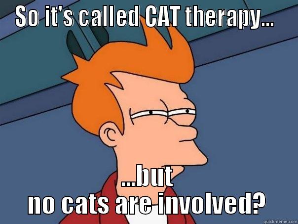 SO IT'S CALLED CAT THERAPY...  ...BUT NO CATS ARE INVOLVED? Futurama Fry