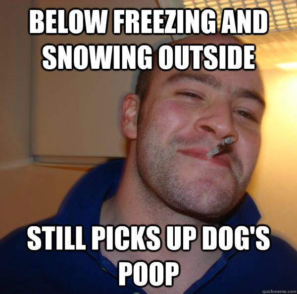 Below freezing and snowing outside Still picks up dog's poop - Below freezing and snowing outside Still picks up dog's poop  Misc