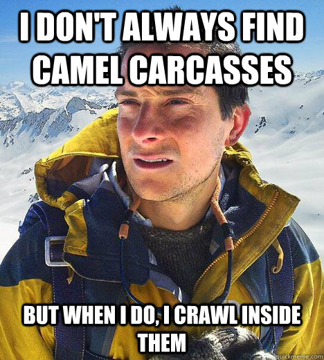 I don't always find camel carcasses but when I do, i crawl inside them  Bear Grylls