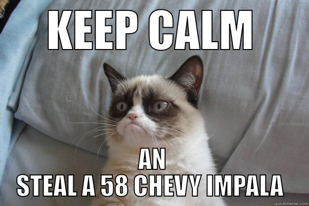 KEEP CALM AN STEAL A 58 CHEVY IMPALA  Grumpy Cat