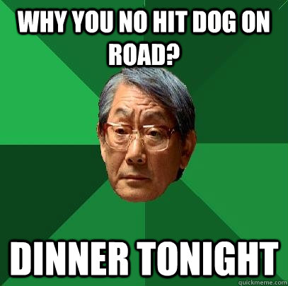 WHY you no hit dog on road? DINNER TONIGHT - WHY you no hit dog on road? DINNER TONIGHT  High Expectations Asian Father