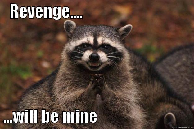 REVENGE....                                     ...WILL BE MINE                               Evil Plotting Raccoon