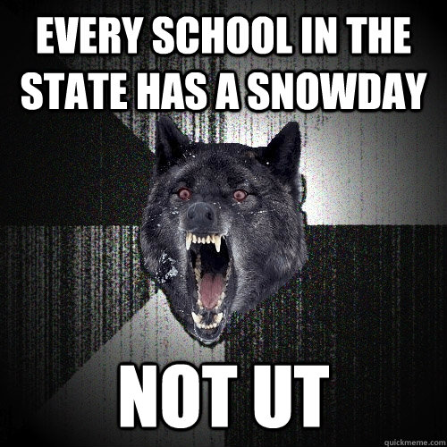 every school in the state has a snowday not ut  Insanity Wolf