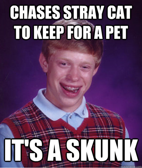 chases stray cat to keep for a pet It's a skunk  Bad Luck Brian