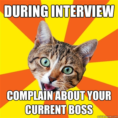 During interview complain about your current boss  Bad Advice Cat