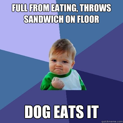 Full from eating, throws sandwich on floor Dog eats it   Success Kid