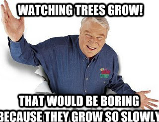 Watching trees grow! That would be boring because they grow so slowly  Obvious John Madden