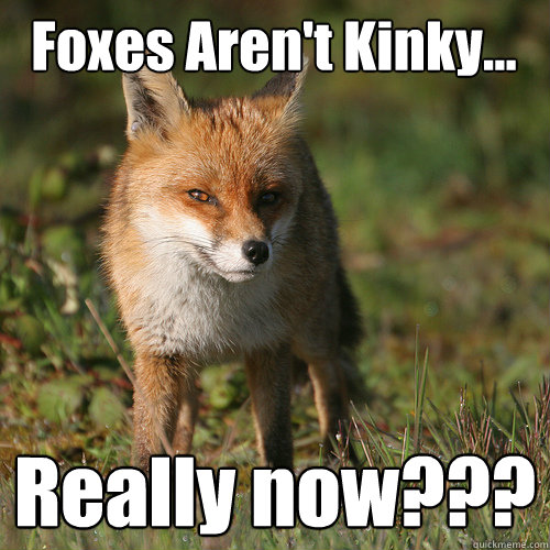 Foxes Aren't Kinky... Really now???  