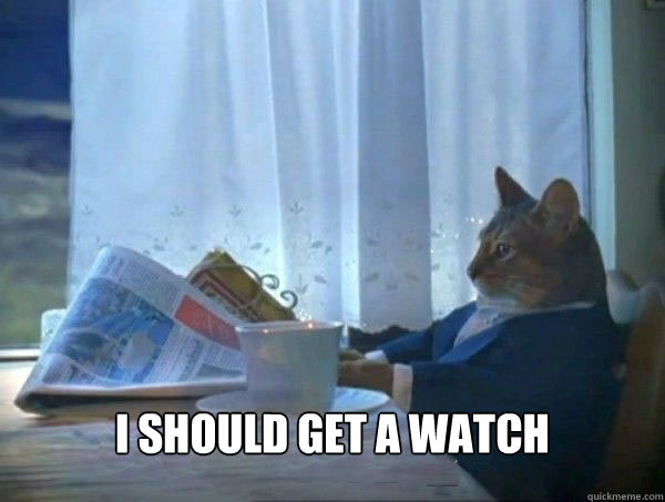  I should get a watch  morning realization newspaper cat meme