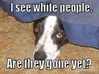    I SEE WHITE PEOPLE.  ARE THEY GONE YET? Misc