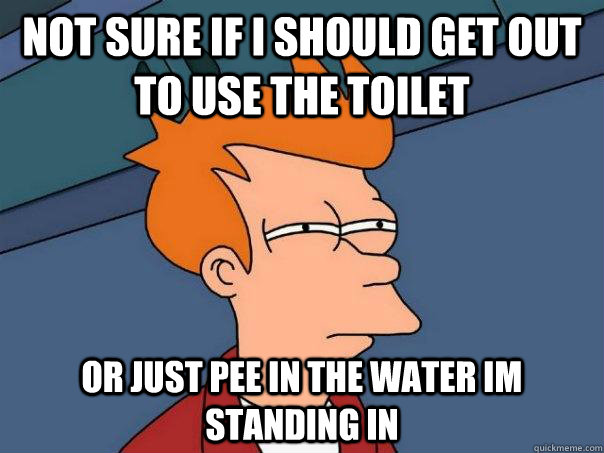 Not sure if I should get out to use the toilet Or just pee in the water Im standing in - Not sure if I should get out to use the toilet Or just pee in the water Im standing in  Futurama Fry