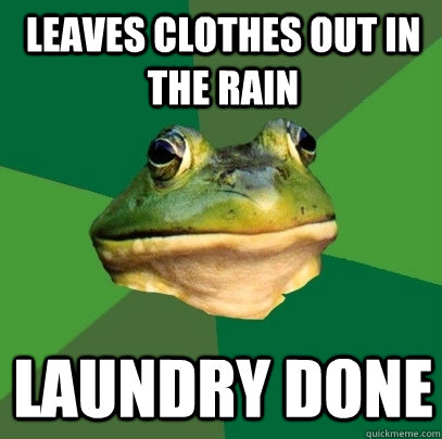 Leaves clothes out in the rain laundry done - Leaves clothes out in the rain laundry done  Foul Bachelor Frog