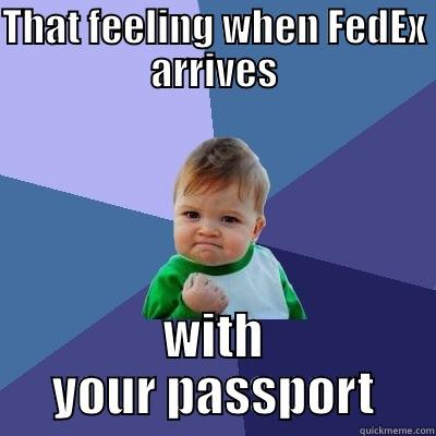 THAT FEELING WHEN FEDEX ARRIVES WITH YOUR PASSPORT Success Kid