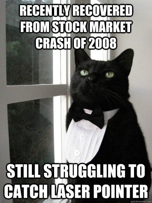 recently recovered from stock market crash of 2008 still struggling to catch laser pointer  One Percent Cat