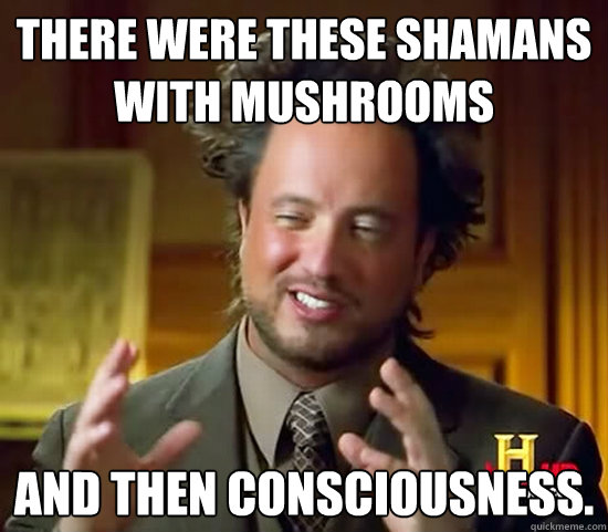There were these shamans with mushrooms and then consciousness.  Ancient Aliens