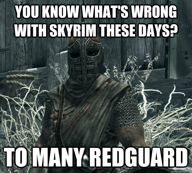 You Know What's Wrong With Skyrim These Days? To Many Redguard  Skyrim Guard