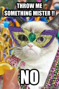 THROW ME SOMETHING MISTER !! NO  grumpy mardi gras cat