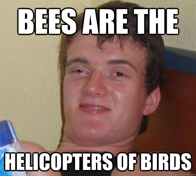 Bees are the helicopters of birds - Bees are the helicopters of birds  10 Guy