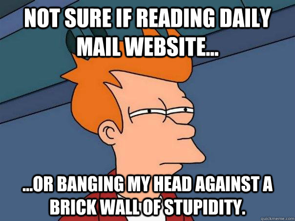 Not sure if reading Daily Mail website... ...Or banging my head against a brick wall of stupidity.  - Not sure if reading Daily Mail website... ...Or banging my head against a brick wall of stupidity.   Futurama Fry