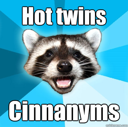 Hot twins Cinnanyms - Hot twins Cinnanyms  Lame Pun Coon