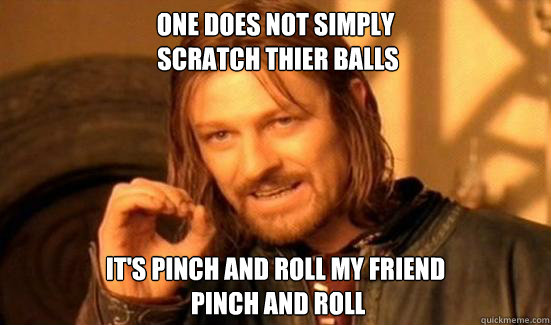 One Does Not Simply
 Scratch thier balls It's pinch and roll my friend
 Pinch and roll - One Does Not Simply
 Scratch thier balls It's pinch and roll my friend
 Pinch and roll  Boromir