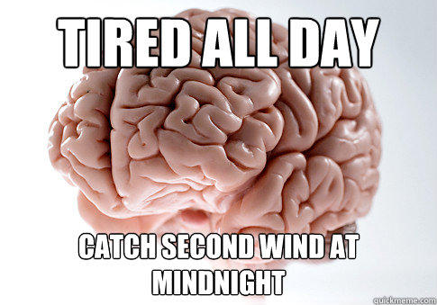 Tired All Day Catch Second Wind at Mindnight  Scumbag Brain