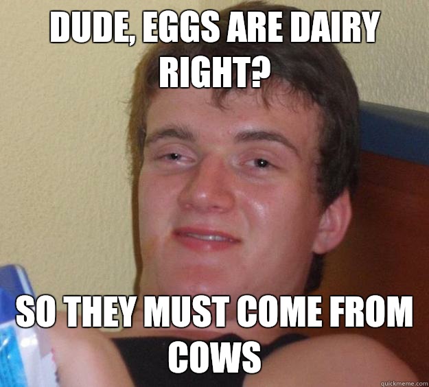 Dude, eggs are dairy right?  So they must come from cows   10 Guy