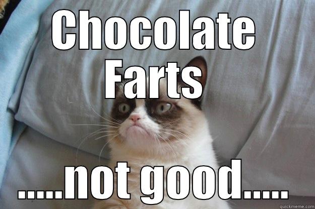 Stomach growling much - CHOCOLATE FARTS …..NOT GOOD….. Grumpy Cat