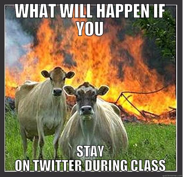 WHAT WILL HAPPEN IF YOU STAY ON TWITTER DURING CLASS Evil cows