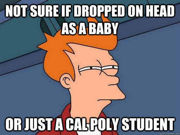 not sure if dropped on head as a baby or just a cal poly student - not sure if dropped on head as a baby or just a cal poly student  Futurama Fry