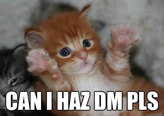  can i haz dm pls
  