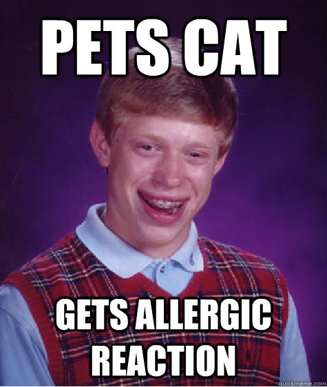 Pets cat Gets allergic reaction - Pets cat Gets allergic reaction  Bad Luck Brian