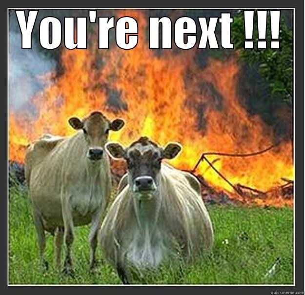 YOU'RE NEXT !!!  Evil cows